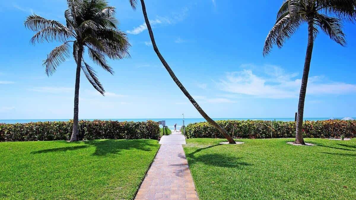 Terrain de l’hébergement 