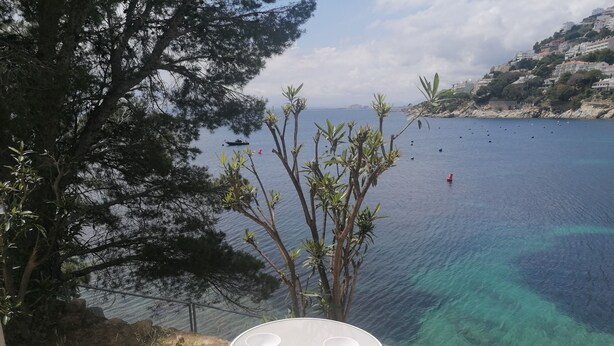 A terrace with a table and chairs overlooking a clear blue sea, with trees and a rocky hillside in the background. - Basic studio in Canyelles with communal terrace + private outdoor parking. (Roses)