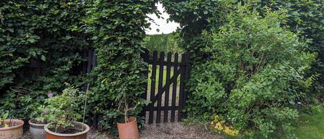 Àrea exterior de l'allotjament