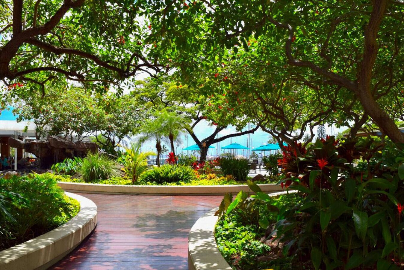 Un camí sinuós a través d'un jardí exuberant, envoltat de plantes i arbres variats.