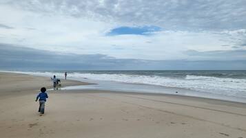 Plage à proximité, chaises longues, serviettes de plage