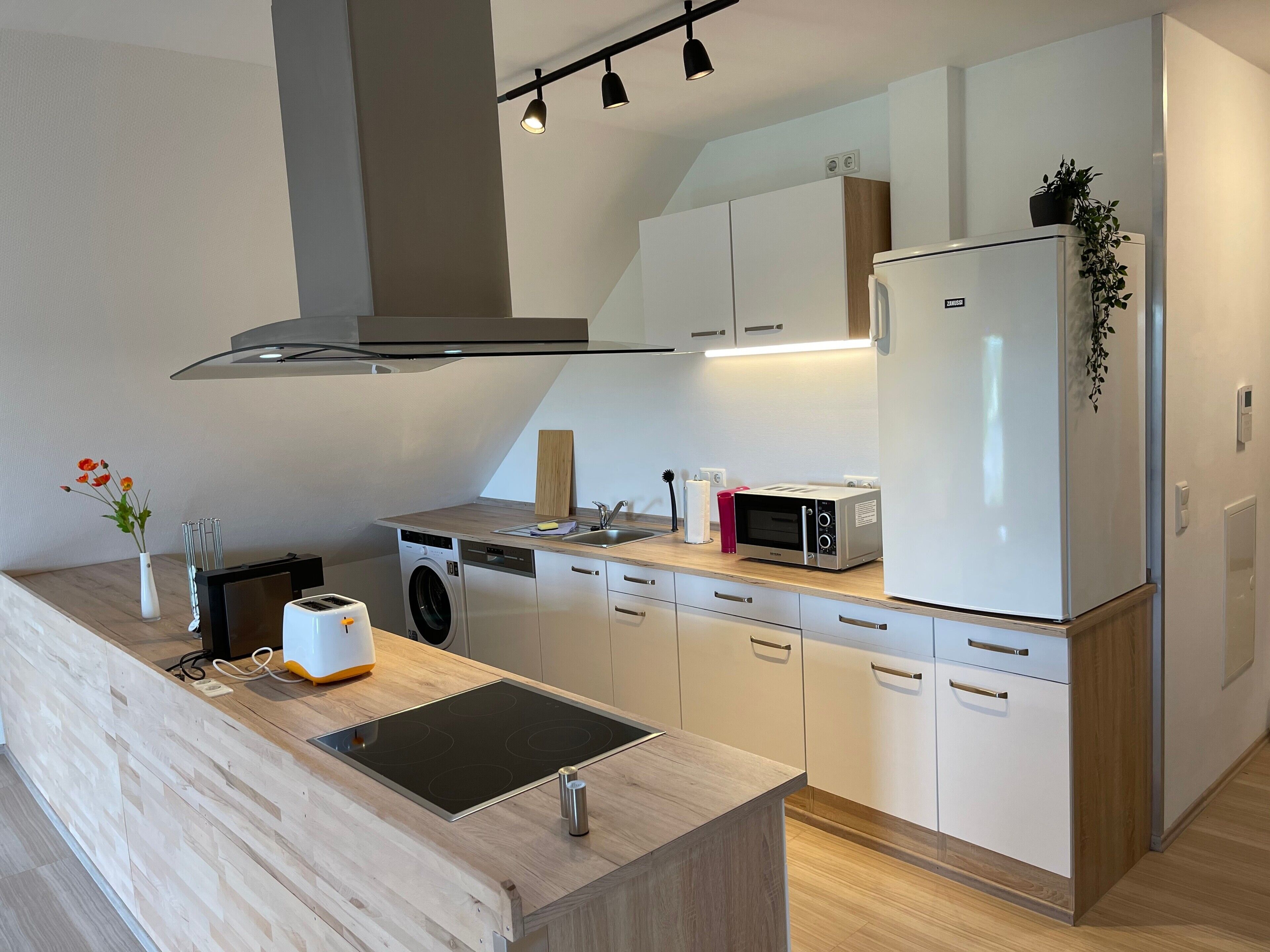 Kühlschrank, Ofen, Herdplatte, Geschirrspüler