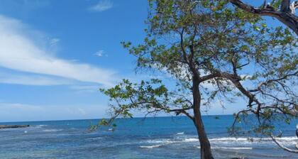 Ocean-View Apartment at VillaMerissa 4 BR/4 Bath. Walk to Beach, JackSprat