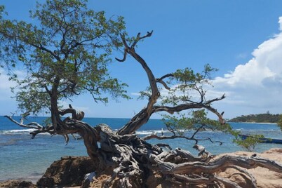 Ocean-View Apartment at VillaMerissa 4 BR/4 Bath. Walk to Beach, JackSprat