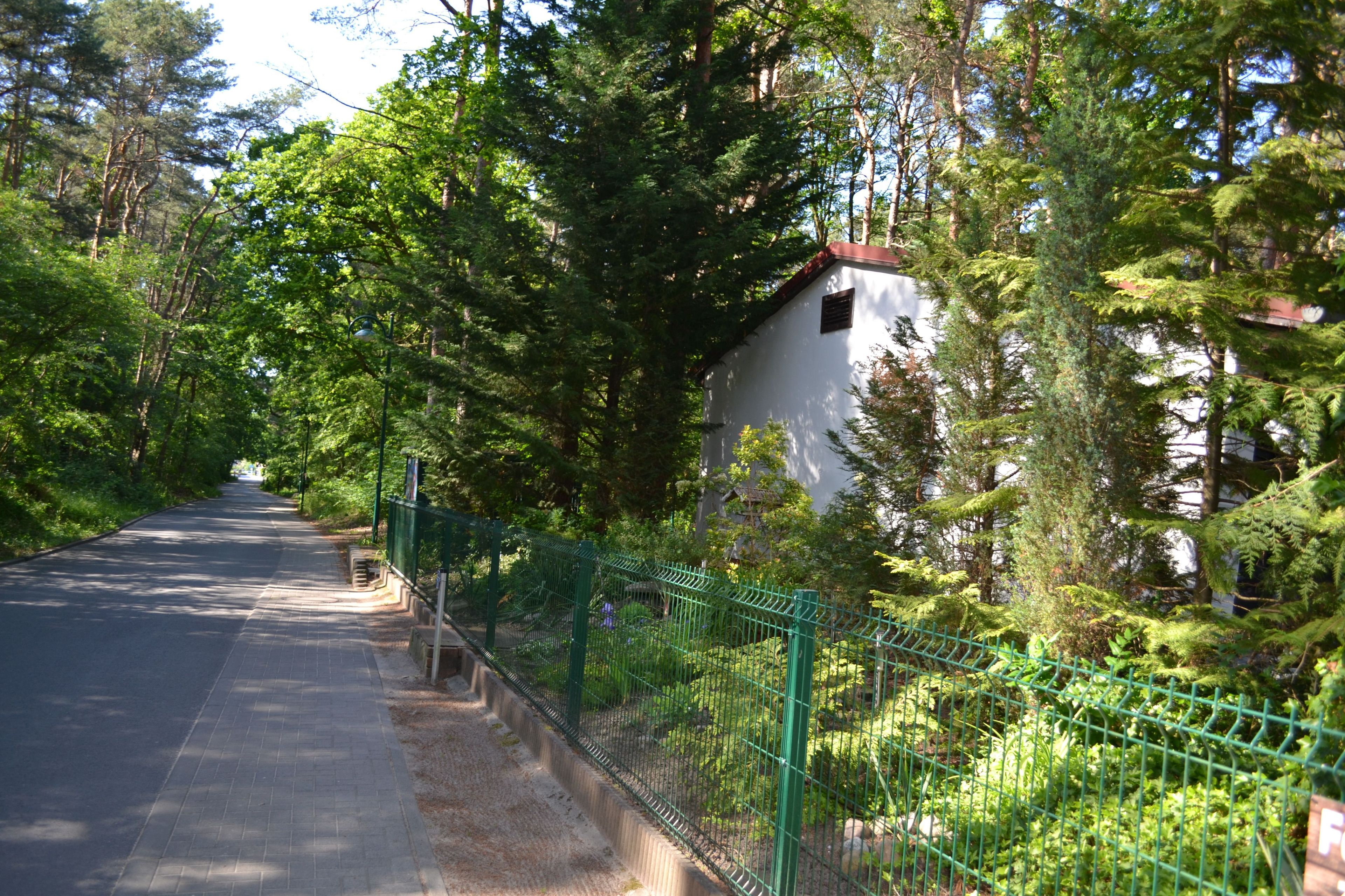 Une route asphaltée bordée d’une clôture métallique verte et d’une forêt dense.