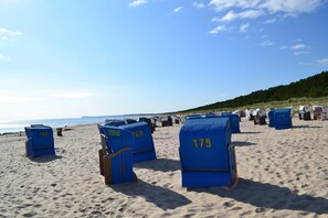 Rows of blue beach chairs with numbers on them, arranged on a sandy beach with the ocean in the background.