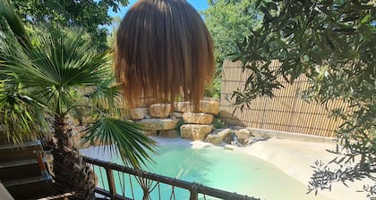 tiny house avec piscine lagon privée et jacuzzi