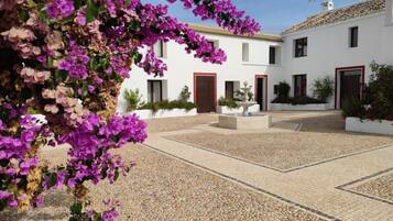 Terrein van de accommodatie