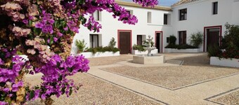 Villa Domínguez - Typical Andalusian farmhouse (Wi-Fi,BBQ, swimmingpool,relax)