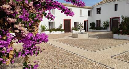 Villa Domínguez - Typical Andalusian farmhouse (Wi-Fi,BBQ, swimmingpool,relax)