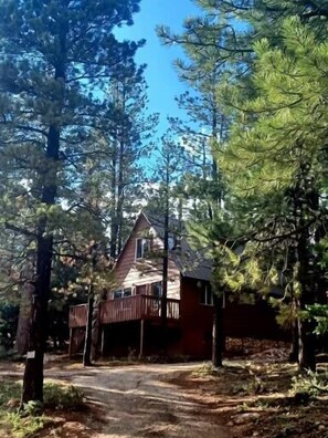 Exterior - Totem Pole Lodge located in private home in the woods (Duck Creek Village)