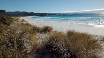 Una spiaggia nelle vicinanze