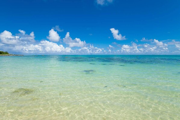 Playa en los alrededores 