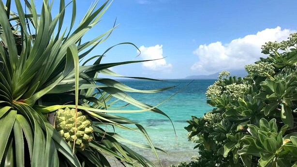 A coastal view with clear turquoise waters and a clear sky. - Sun Akaishibeach no Yado (Ishigaki)