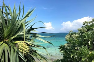 ビーチ