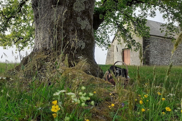 Pause près de l'un des chênes de Kernéant