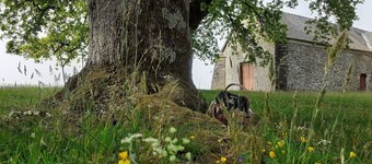Gite La LisiÚre, en Brocéliande