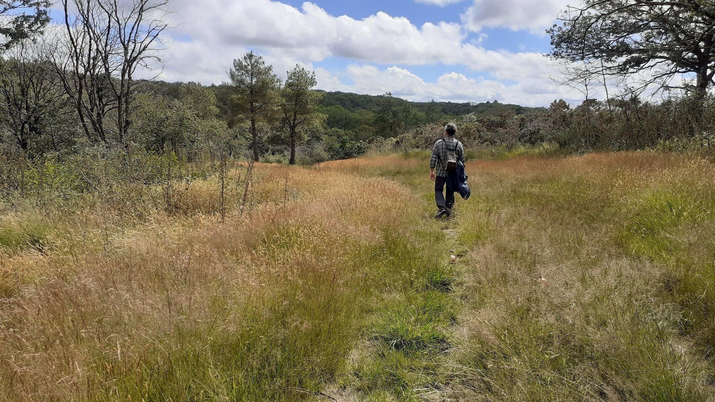 A person walking on a grassy path in a natural setting with trees and hills in the background.