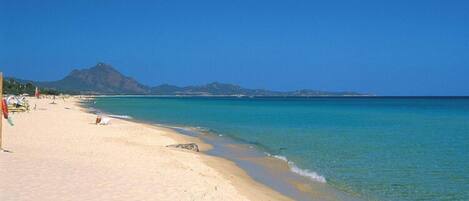 Playa en los alrededores 