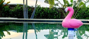 Tranquil Escape Heated Pool & Hot Tub - Gulf Coast Beach - Home away from Home