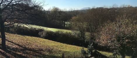 A rural landscape with rolling hills, a clear sky, and a pathway leading through the greenery.