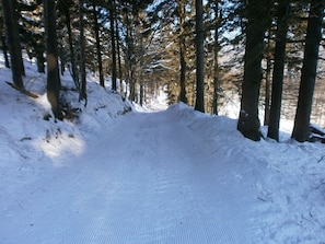 A snowy ski trail surrounded by trees. - Lovely, very quiet vacation apartment for groups of up to 16 people (Bad Sachsa)