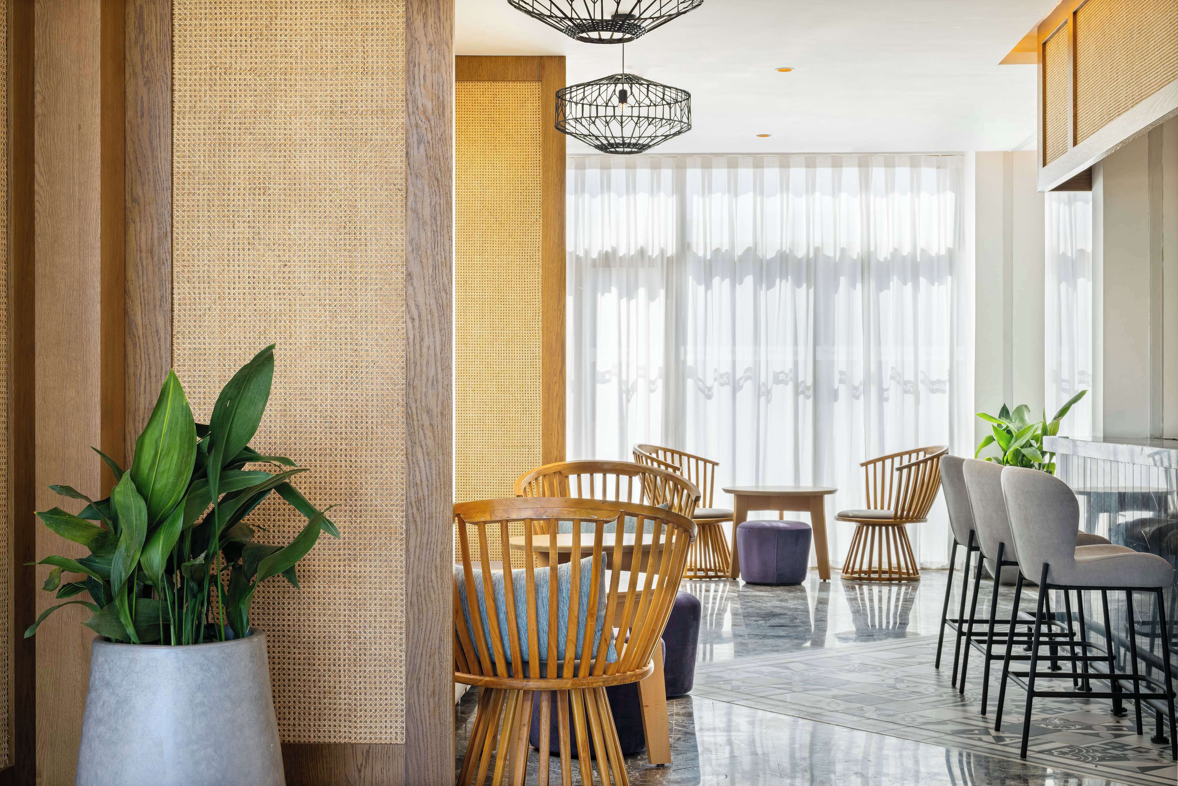 A modern hotel lobby with a large plant, wooden chairs, and a large window with sheer curtains.