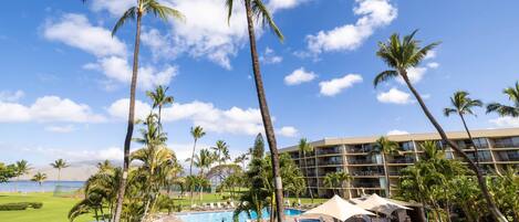 A resort with a swimming pool, palm trees, and a view of the ocean.