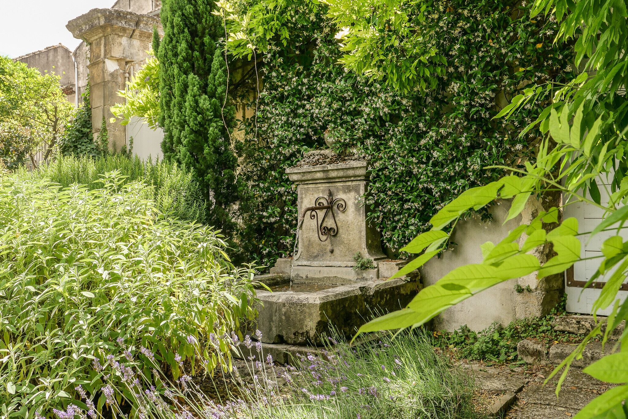 Enceinte de l’hébergement