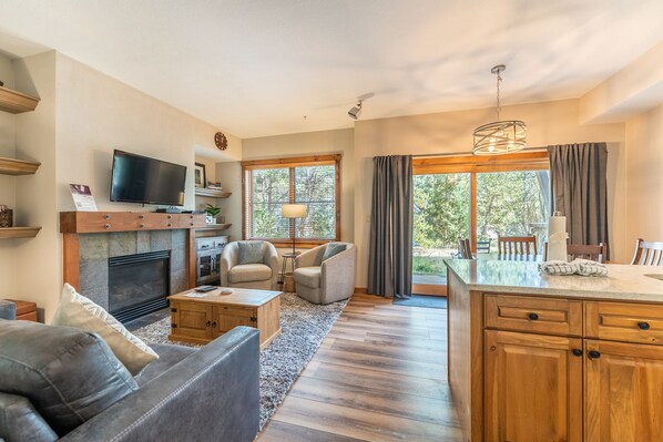 TV, fireplace, books