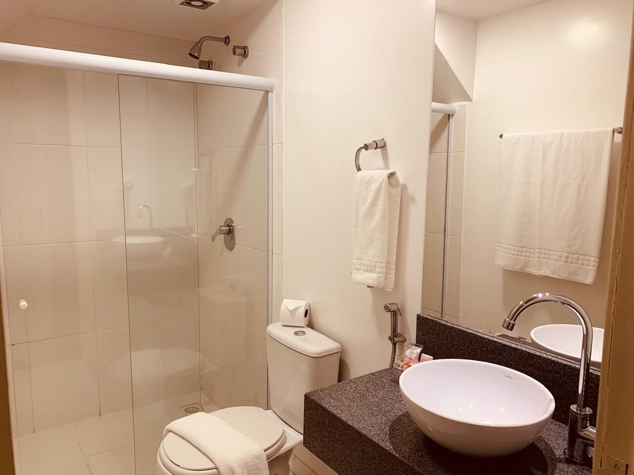 A bathroom with a glass-enclosed shower, a toilet, a sink with a mirror, and a towel rack.