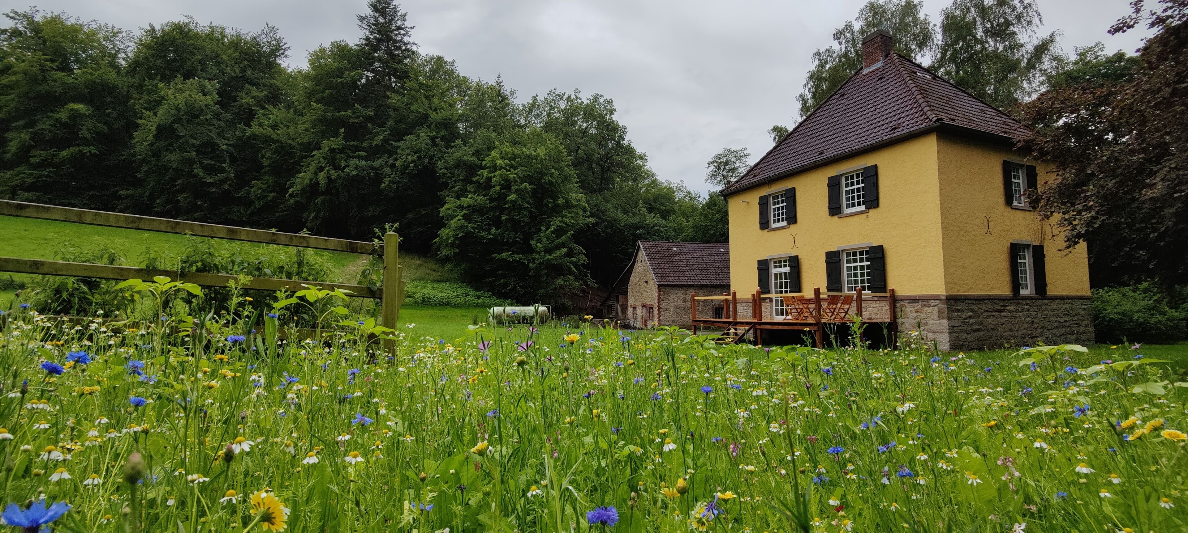 Terrein van de accommodatie