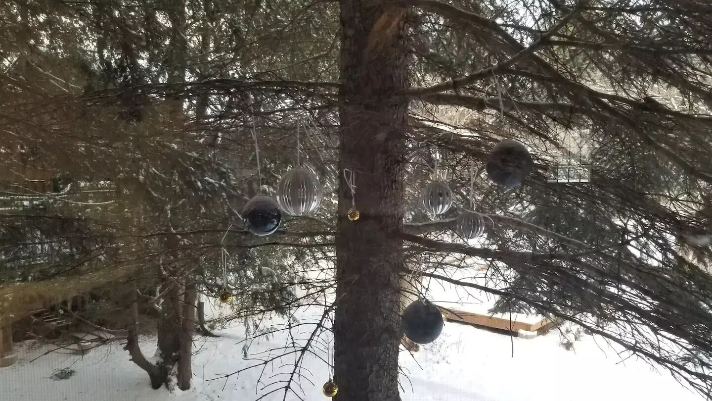 A tree with hanging ornaments in a snowy setting.