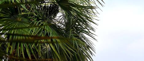 تفاصيل الفندق من الخارج