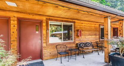 Dog-friendly studio close to hiking with mountain views & fast WiFi