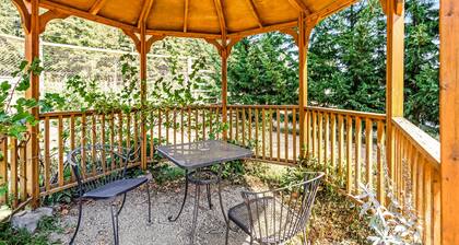Ground-floor hiker's studio with mountain views & fast WiFi - dog-friendly