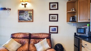 Een gezellige woonkamer met een bruine leren bank, een wandlamp, ingelijste foto’s en een keukenhoek met een magnetron en kastjes.