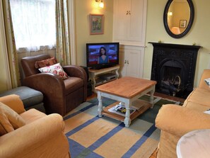 TV, fireplace - 2 bedroom accommodation in Windermere (Windermere)