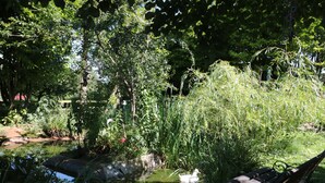 A bench by a pond surrounded by lush greenery and trees. - The Cider Shed (Winscombe)