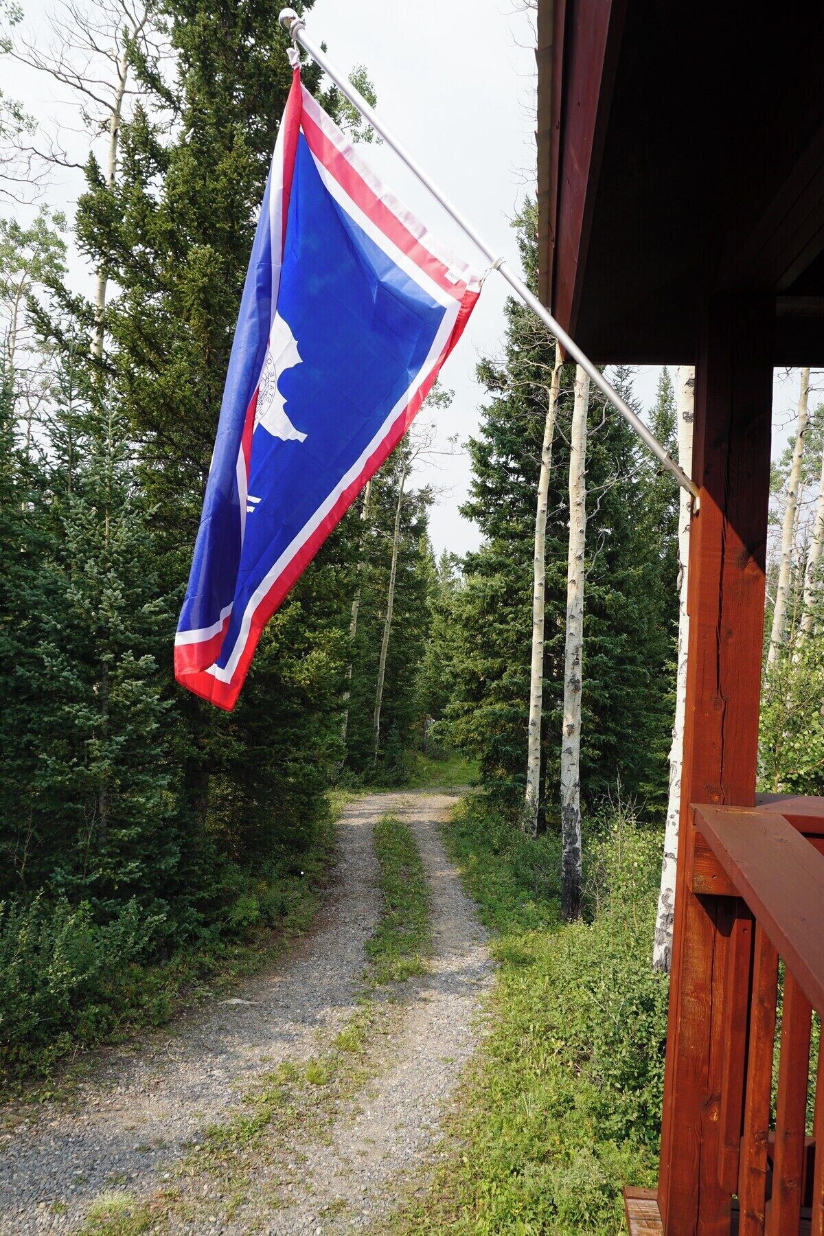 A flag on a pole in a forested area with a gravel path.