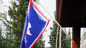 Una bandera en un pal en una zona boscosa amb un camí de grava.