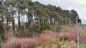 Un paysage naturel caractérisé par une grande diversité d’arbres et d’arbustes.