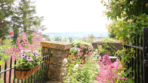 A garden with a stone bench, a metal fence, and various flowering plants. - Linley Lane Cottage (Bishops Castle)