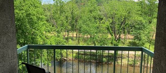 Riverfront Condo, Minutes to LeConte, Dollywood, Ripken, The Island