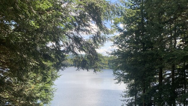 Une vue depuis une fenêtre donnant sur un lac entouré d’arbres, avec une terrasse en bois et du mobilier d’extérieur visibles.