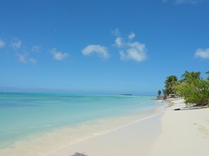 Una playa con agua turquesa cristalina, una orilla arenosa y palmeras.