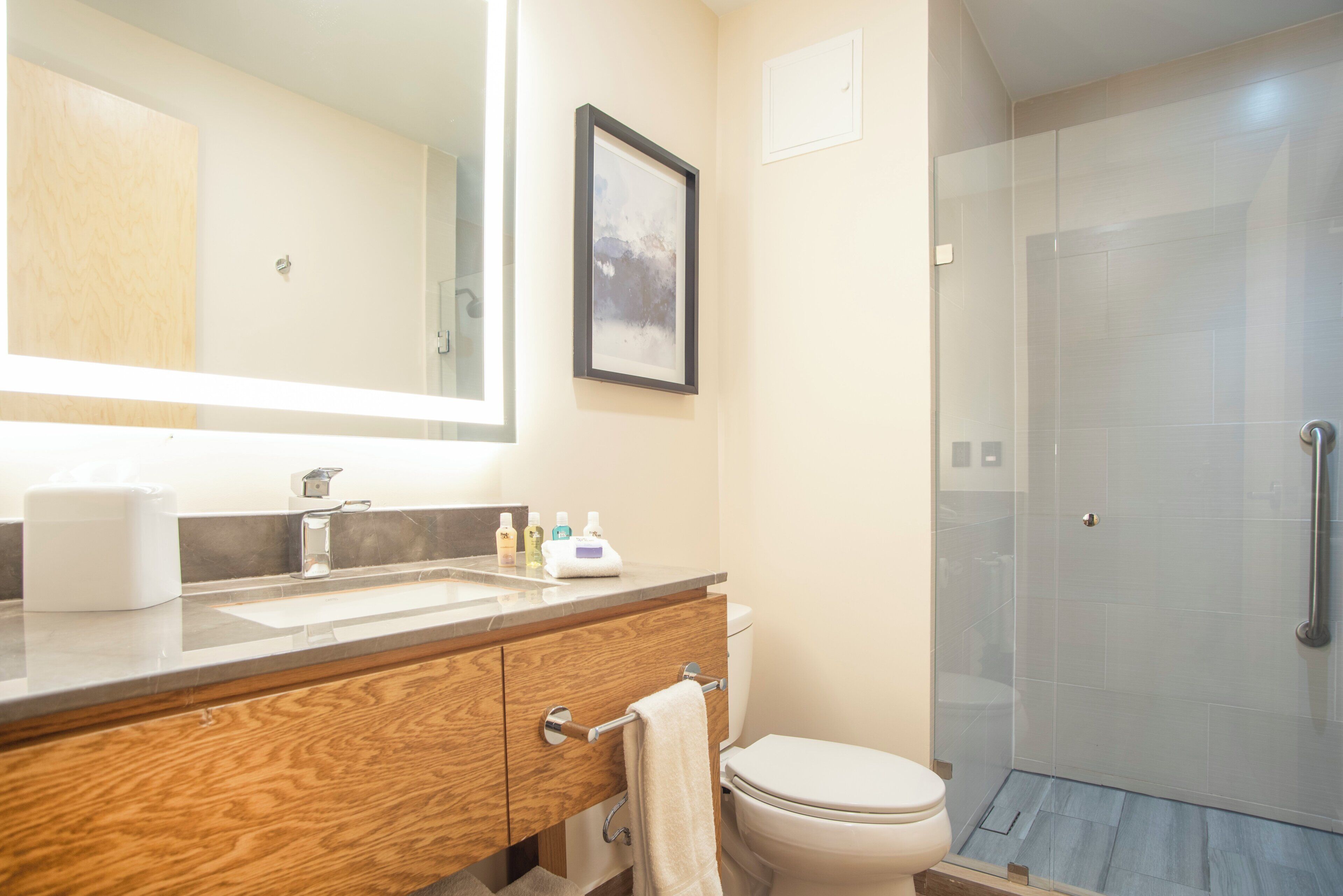 A bathroom with a wooden vanity, a large mirror, a framed picture, a toilet, and a glass-enclosed shower.