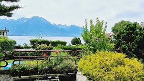 Un jardín con vistas a montañas y un lago.