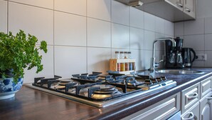 A kitchen with a gas stove, a coffee maker, and a potted herb plant. - Boerenzwaluw (Kamperveen)