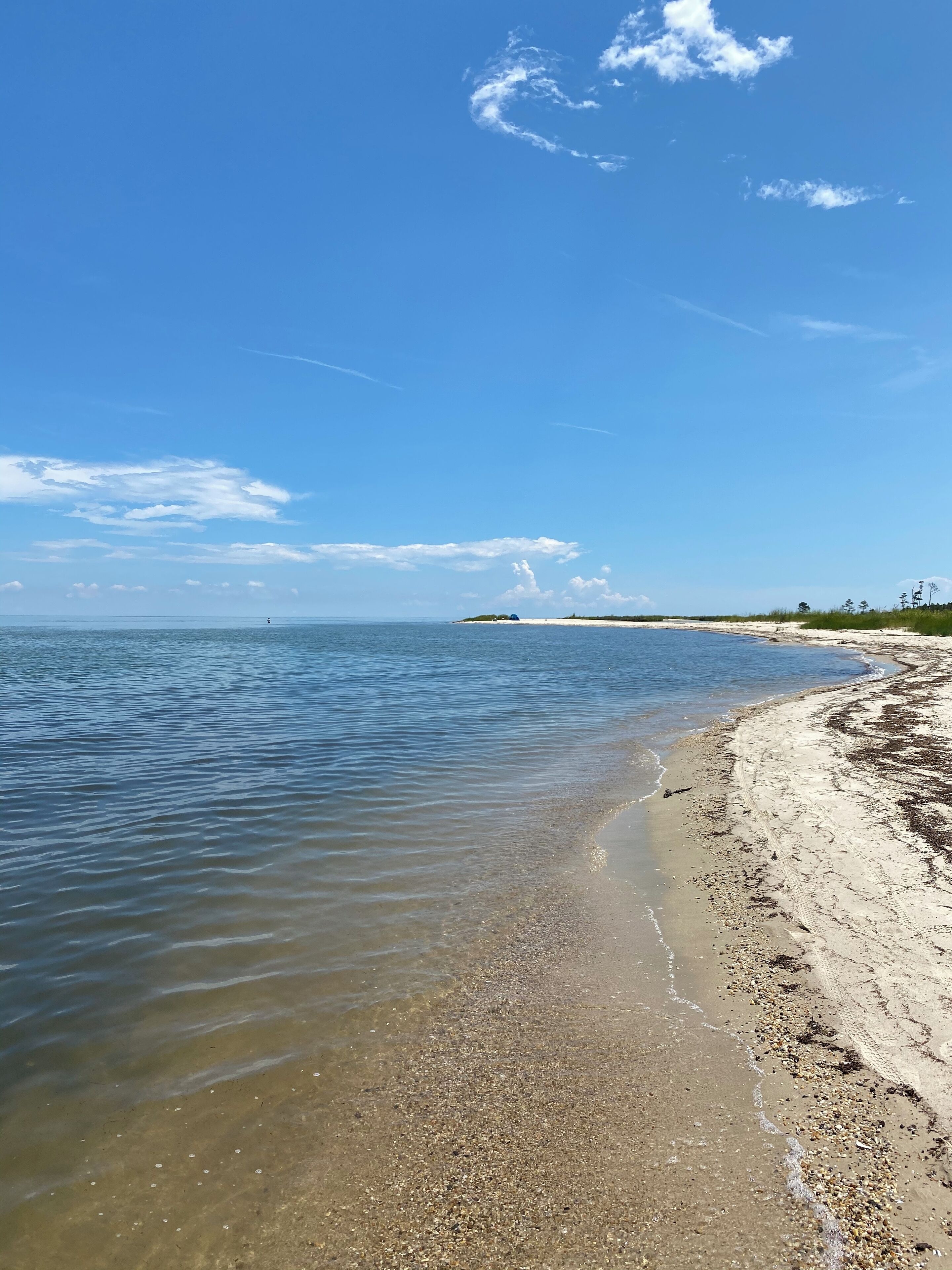 En la playa, camastros y toallas de playa 